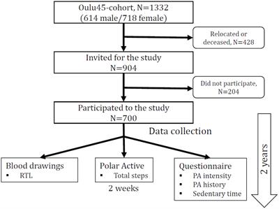 Association of Physical Activity With Telomere Length Among Elderly Adults - The Oulu Cohort 1945